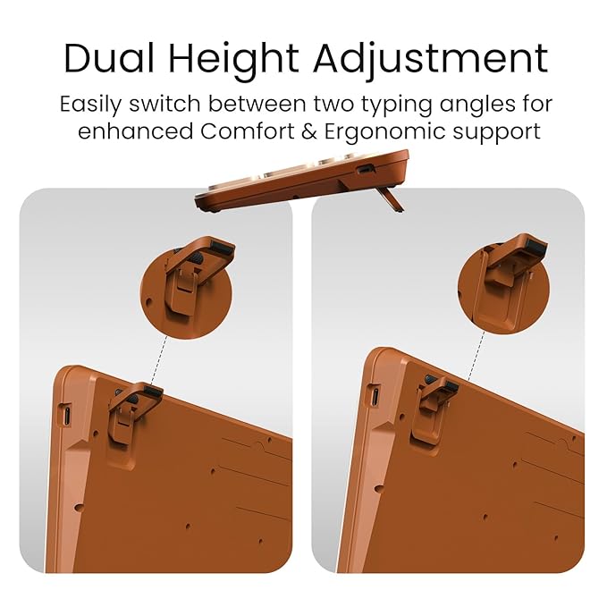 Wireless Keyboard with Bluetooth + 2.4 GHz USB Receiver, Rechargeable Battery, Dual Height Adjustment, Multimedia Hotkeys with Numpad, for Laptop, PC, Smartphone, Tablet(Beige)